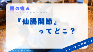 (「仙腸関節」ってどこ？)動画サムネイル